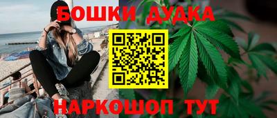 СК Донской