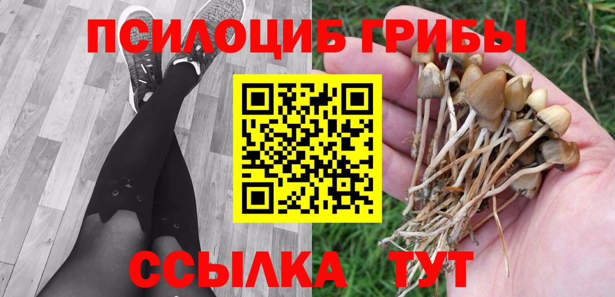 Галлюциногенные грибы ЛСД  Вход с VPN  Курчатов 