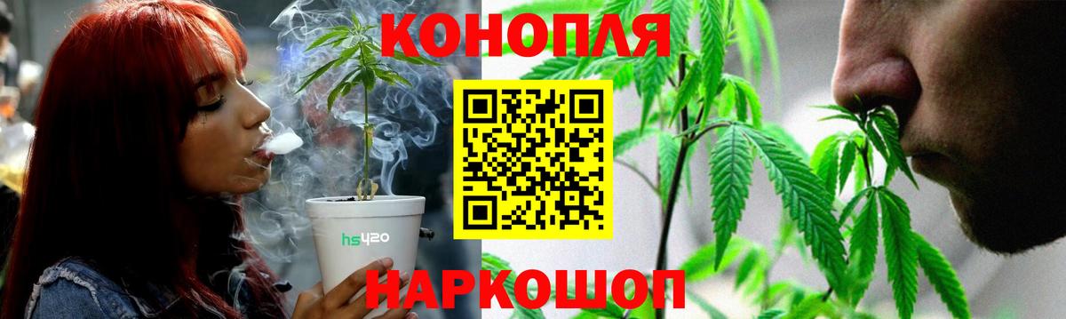 Конопля Bruce Banner  Вход с VPN  Курчатов  Шишки марихуана MAZAR  Шишки марихуана Bruce Banner 
